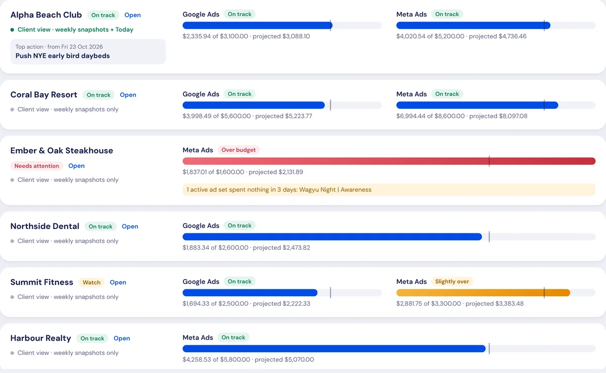 Agency view in rows: each client with spend against budget per channel
